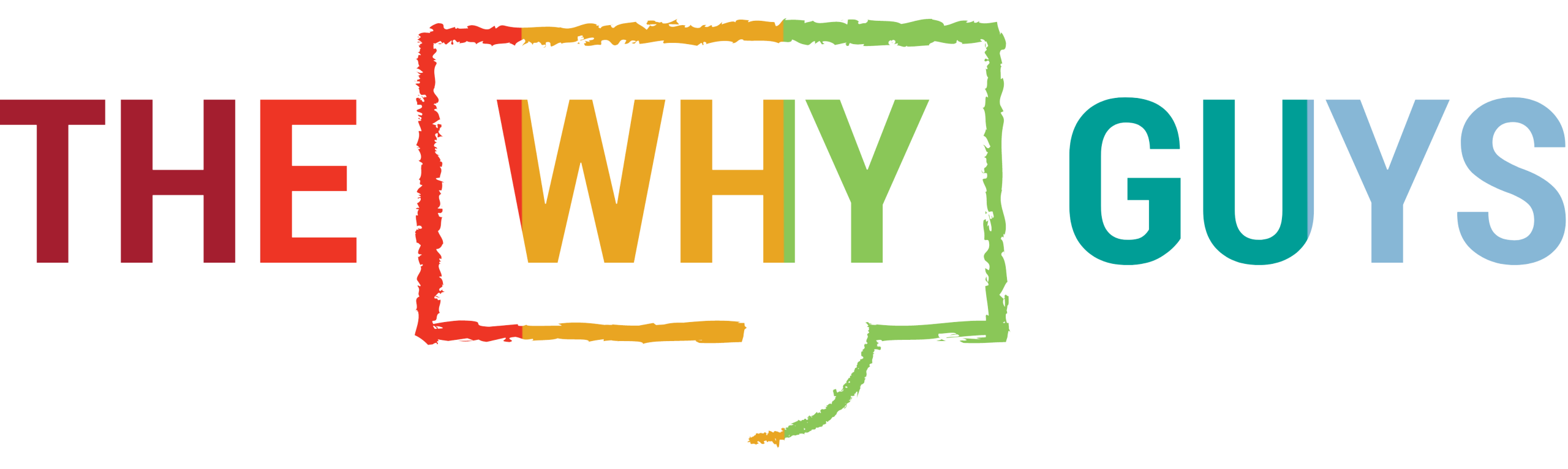 The Why Guys